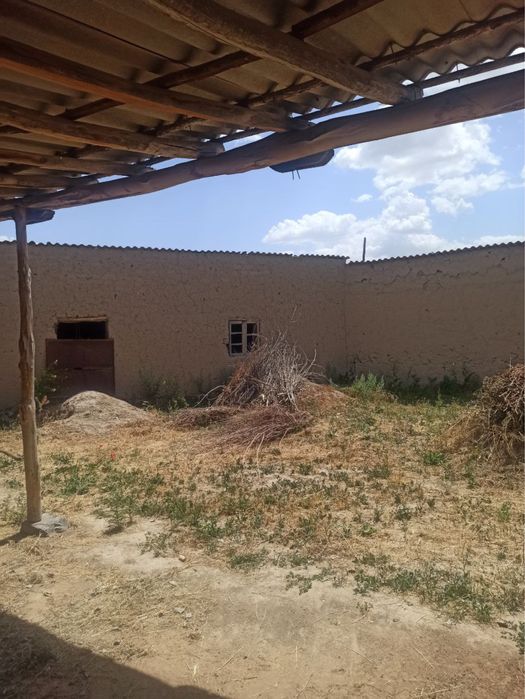 Кошработ туманида 30/35 сотхли ер сотилади 35000$ келишилади