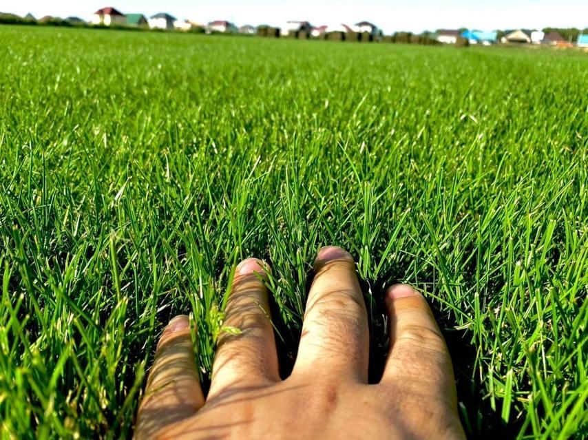 Рулонный газон автополив, газон орыу, егу