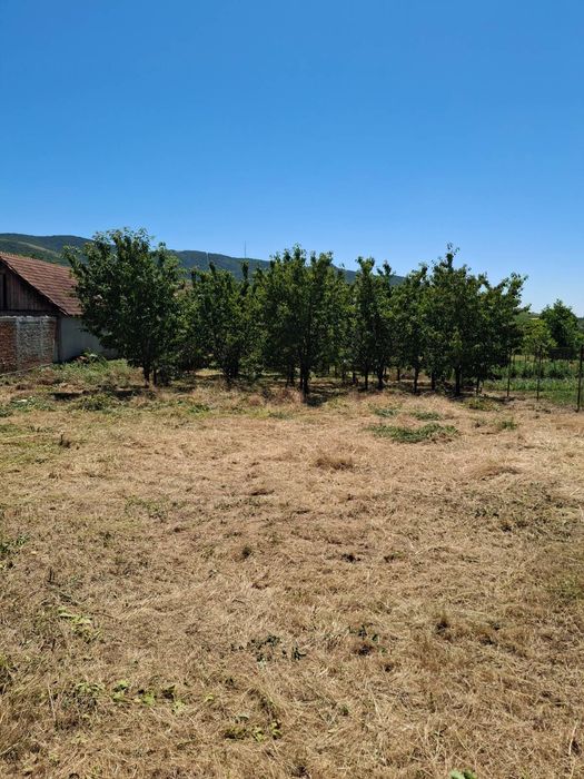Teren intravilan, in localitatea Mâsca, comuna Șiria, loc de casa.