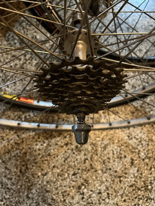 Френски бегач в добро състояние