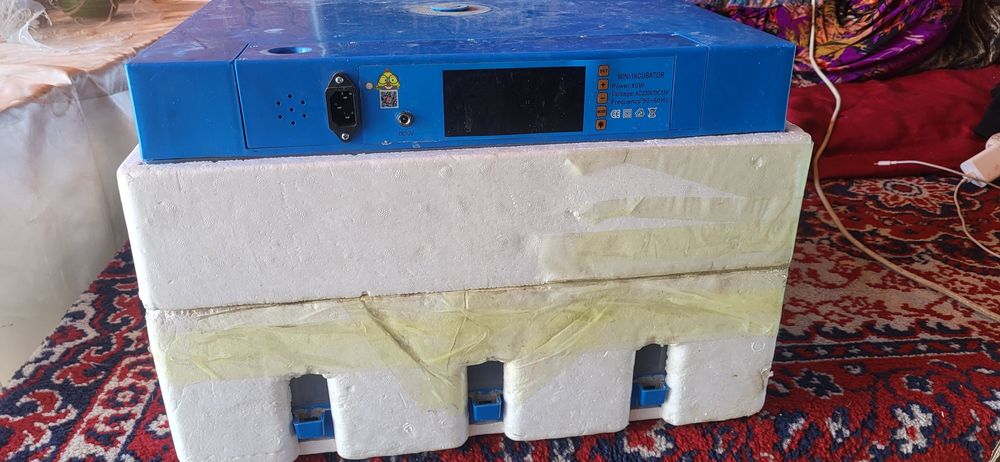 Инкубатор Умница