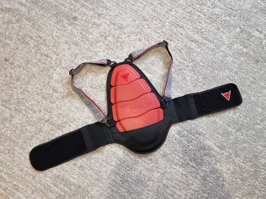 Protectie spate copii, Dainese, schi