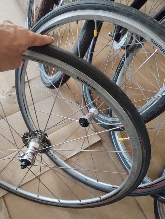 roti cursiera Shimano