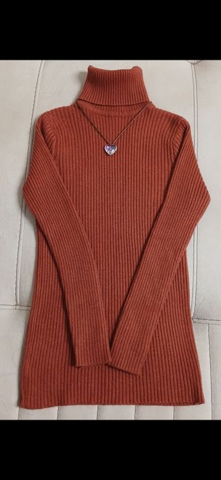 Водолазка + юбка