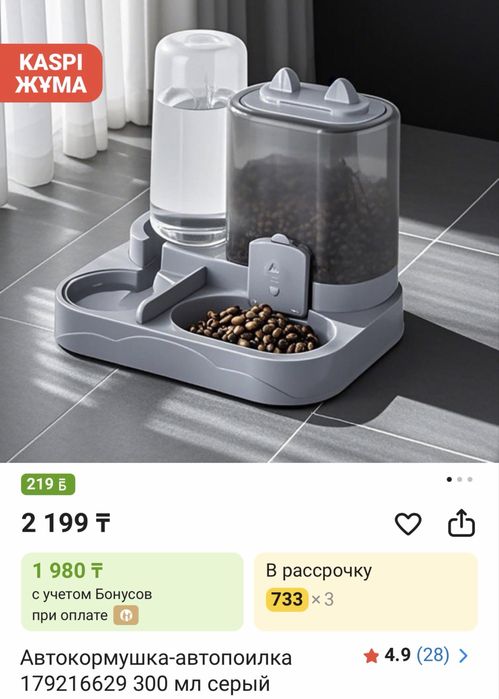 Продам пародистого котенка