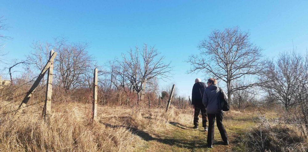 Продава се Земеделски имот в Попово -  кв.м за 2550 €/дка - Снимка #1