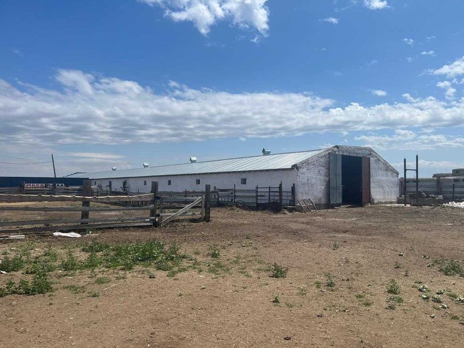 Животноводческая база