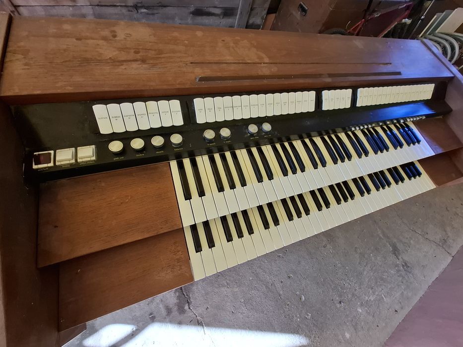 Vand Orga  Riha Allegro perfect functionala!