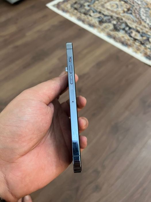 IPhone 13 Pro Max (512 gb)