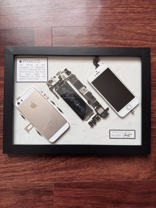 Картина / арт-объект из iPhone 5s