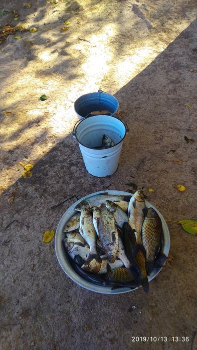 учаска 13 сотик.