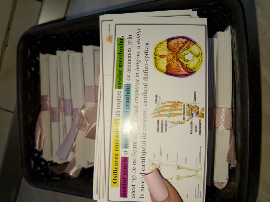 Flashcards Biologie Medicina