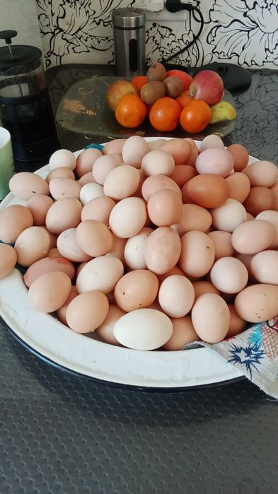 Домашние свежее яйца