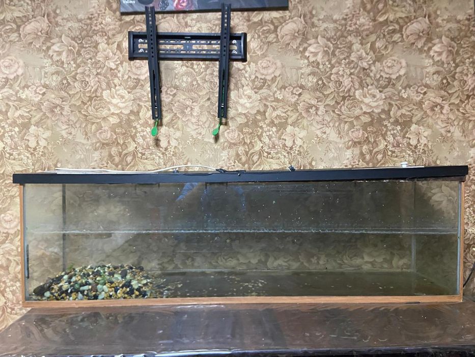 Аквариум 200 л продаём