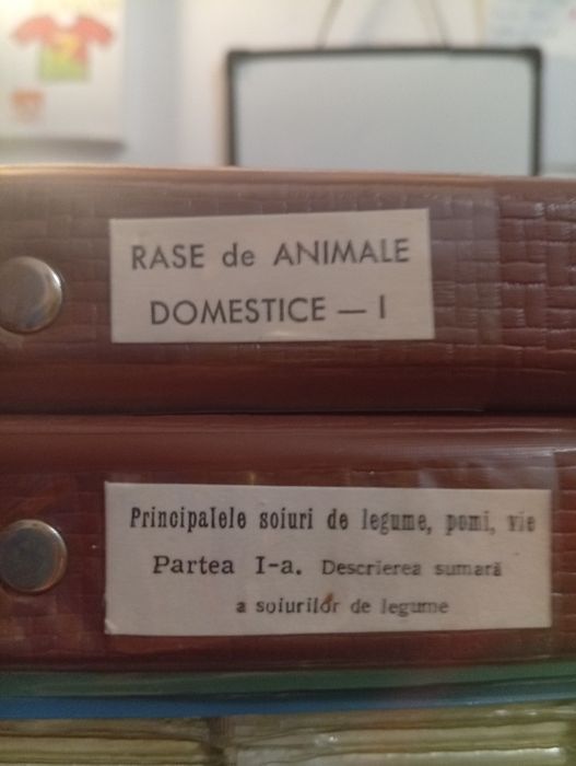 Diapozitive cu diferite teme