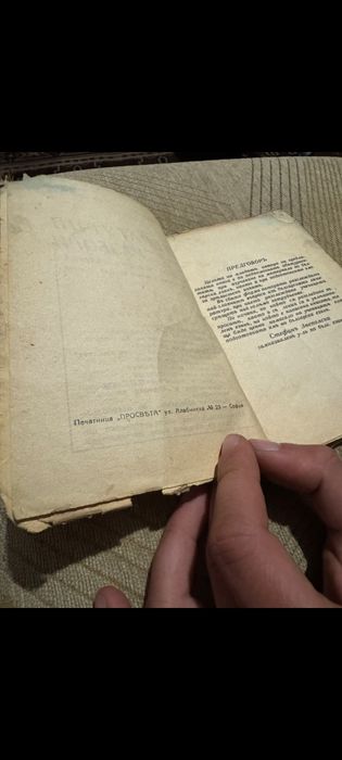 Литературни разбори от Царство България , издателство Просвета !