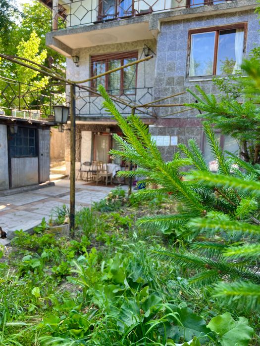 Продаваме къща в село Гривица