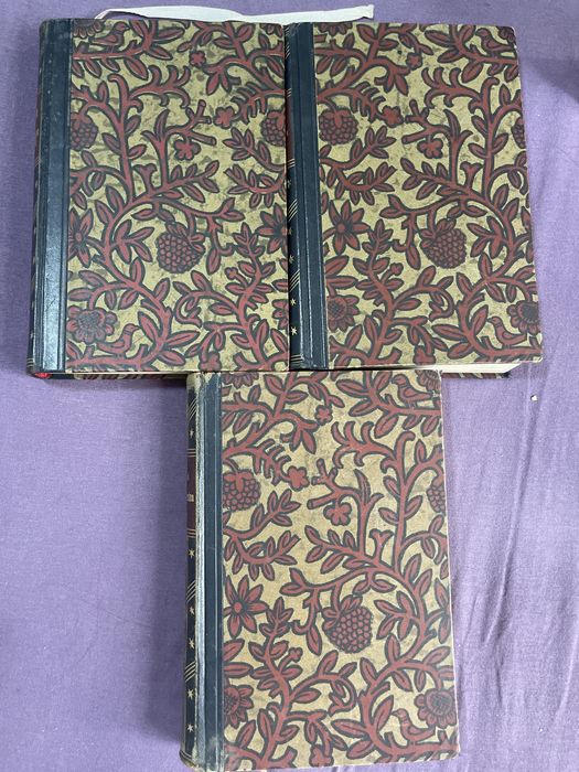 Lot de Colecție Lev Tolstoi (3 cărți) în germană