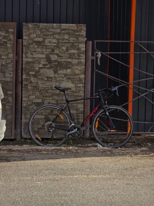 Giant contend sl2