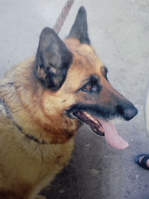 Вязка за 20 минут