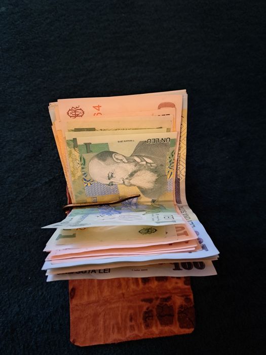 Portbancote din piele.de crocodil