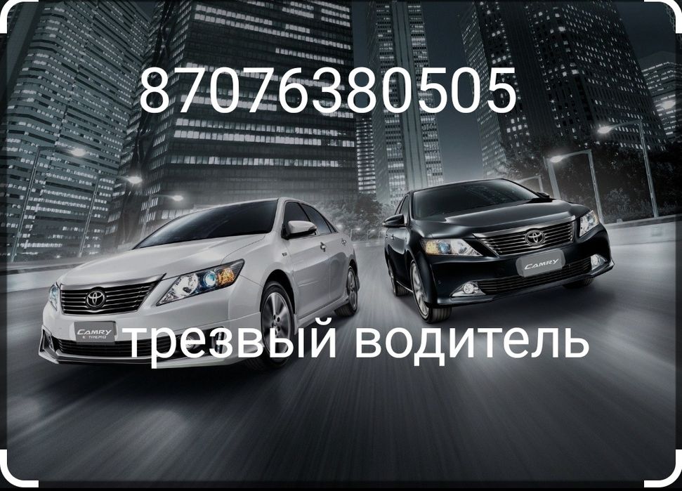 Трезвый водитель