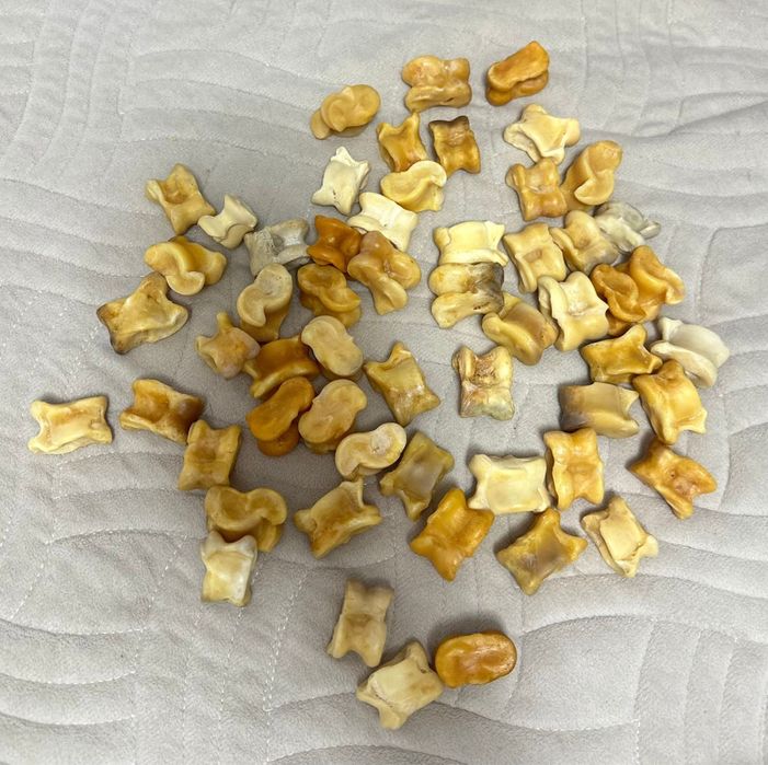 Асық сатамын. Астана, Қарағанды қаласы.