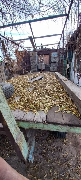 Прицеп-платформа. Для пасеки. Цена:500.000