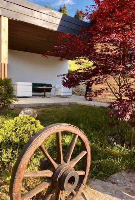 Cabana Elena Borșa Maramures