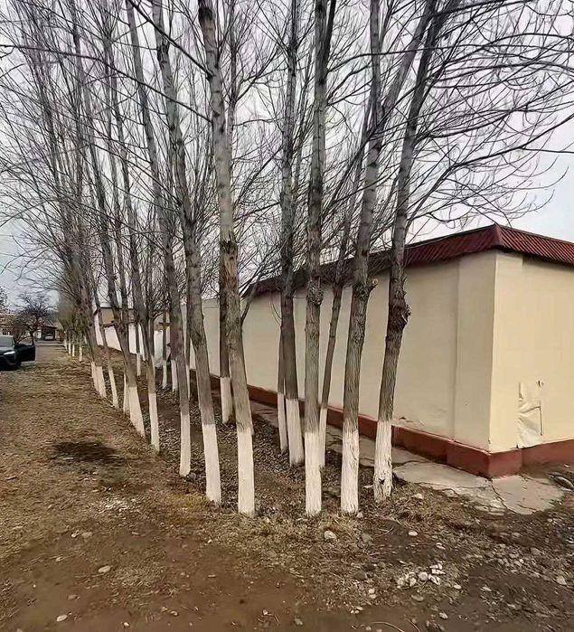 Pochta binosi sotiladi