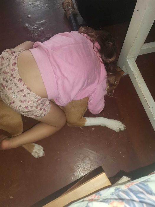 Подарявам куче момиче на 12 месеца