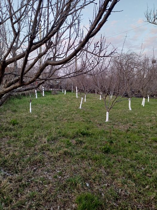 Teren intravilan de vânzare