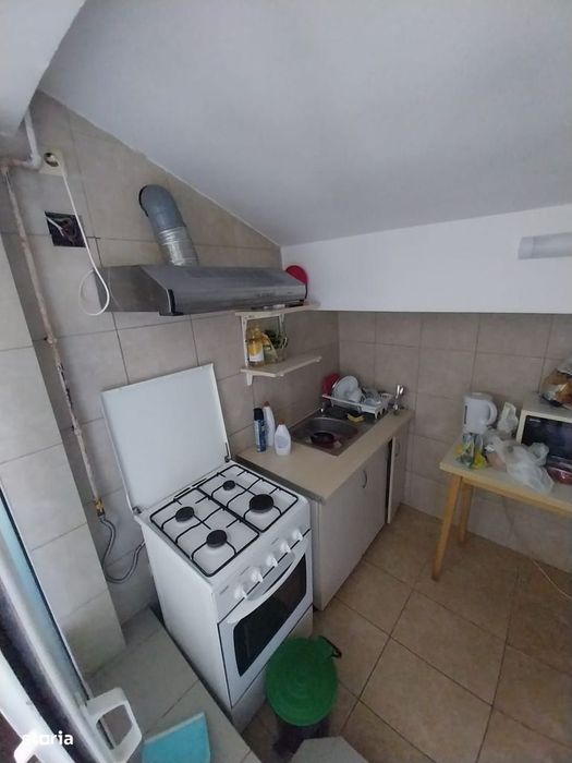Apartament cu o camera in vila Copou - Negruzzi