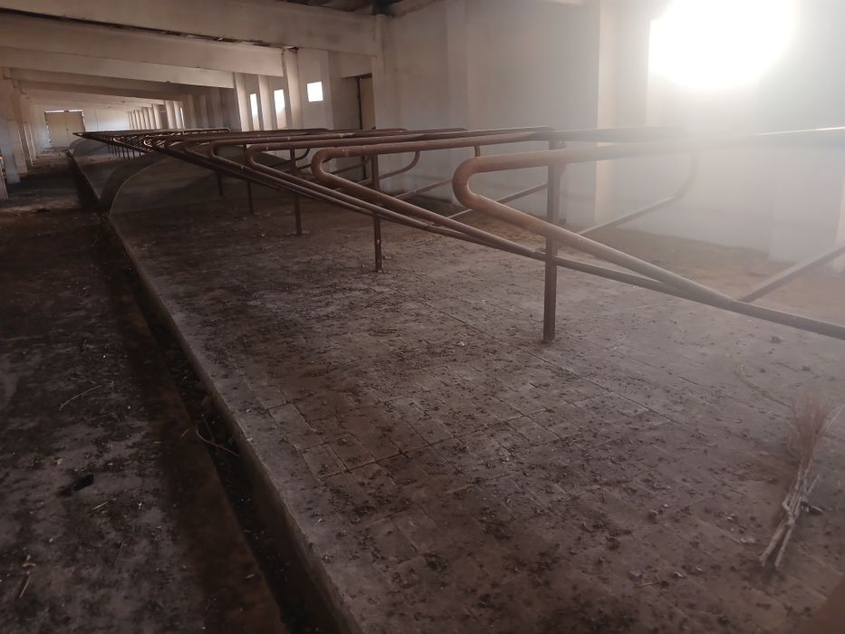 Здание и сооружение, Большая современная ферма