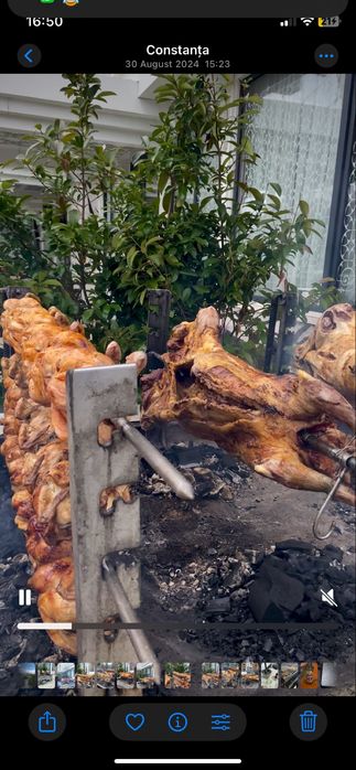 Vand Remorca PROTAP omologata