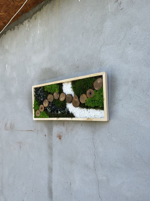 Tablou din licheni 70x30 cm