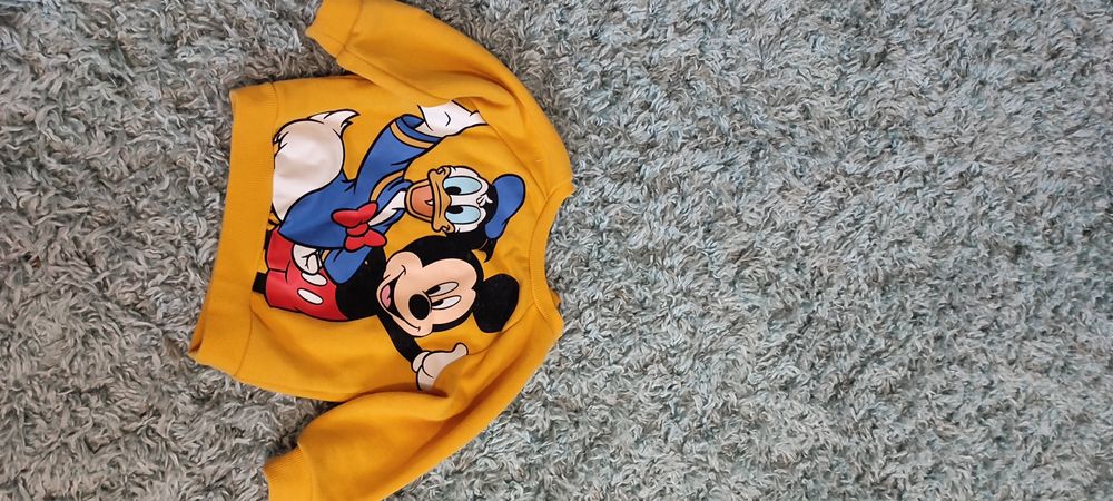 Bluza/hanorac băieței lot