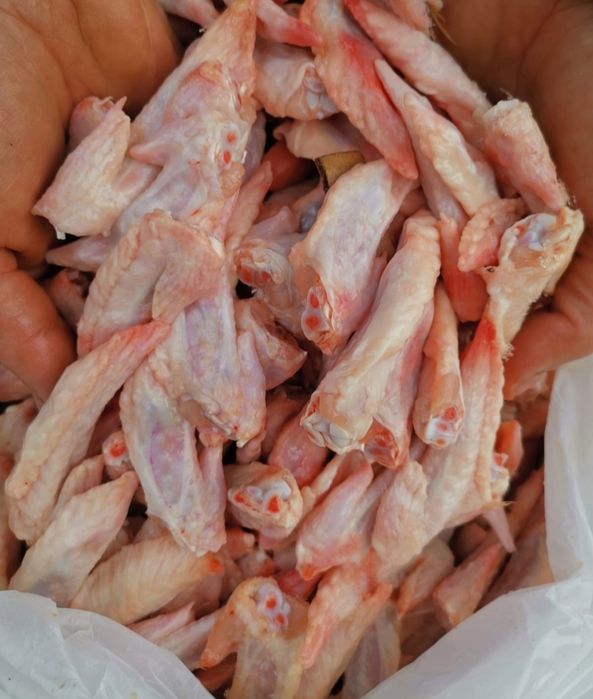 Корма, кости для собак и кошек