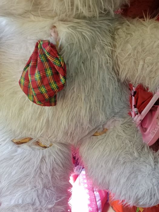 Отдам даром медведя