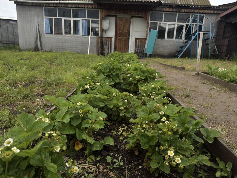 Продам дачу СПУТНИК -1