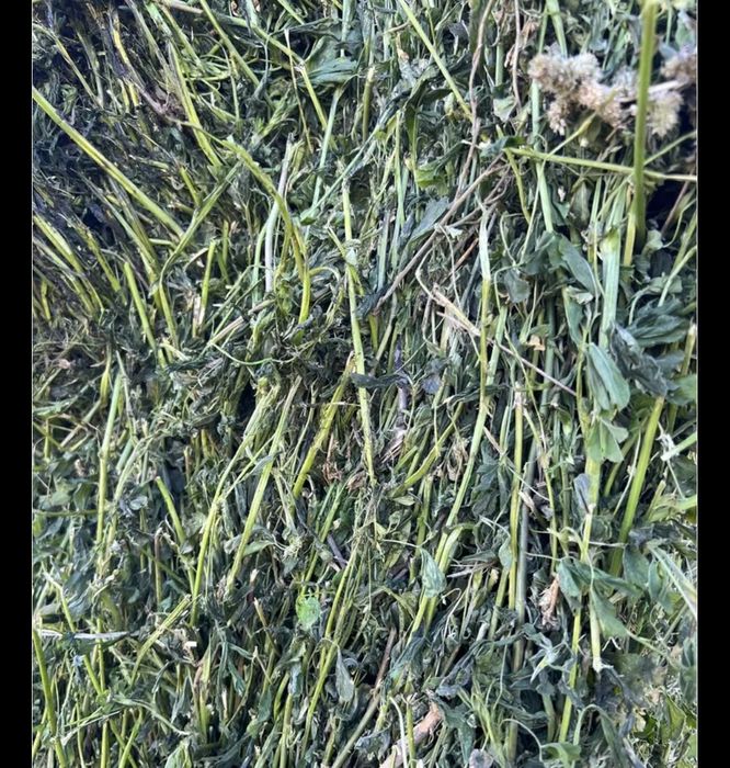 Fan ,otava și lucerna de vânzare