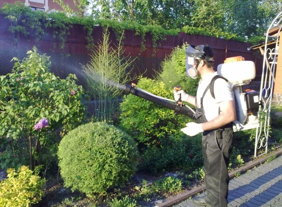 Обработка растений, ёлок, деревьев от болезней, грибка, насекомых.