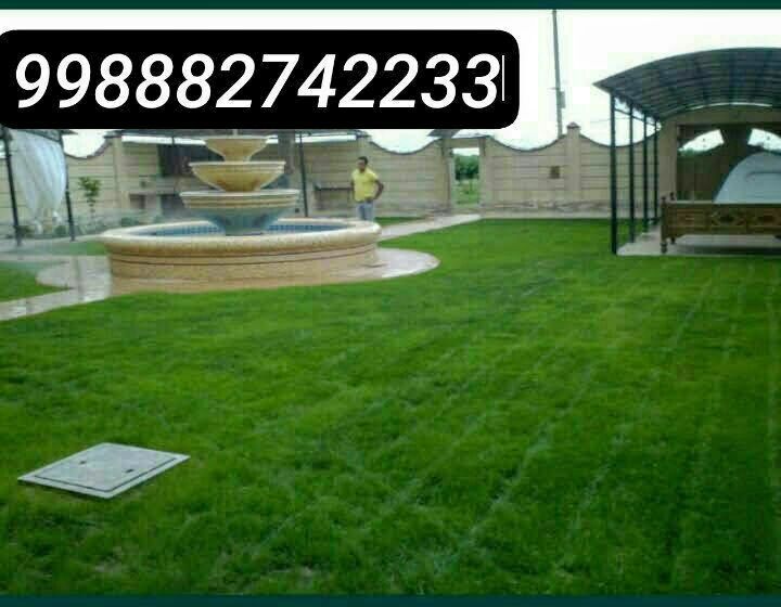 Акция рулонный газон по супер цене.