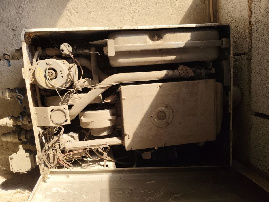 Катёль даева на стенные