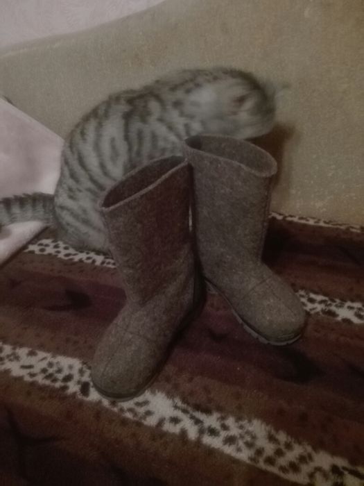 Сапоги войлочные