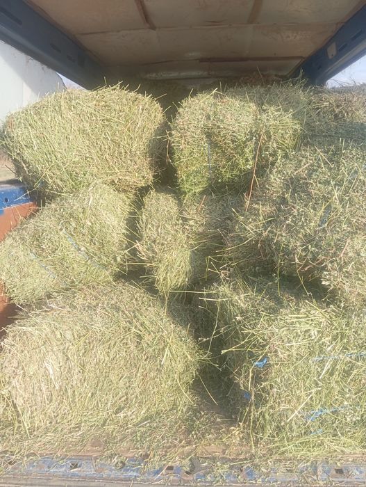 Продавам бали сено, бали слама и бали люцерна