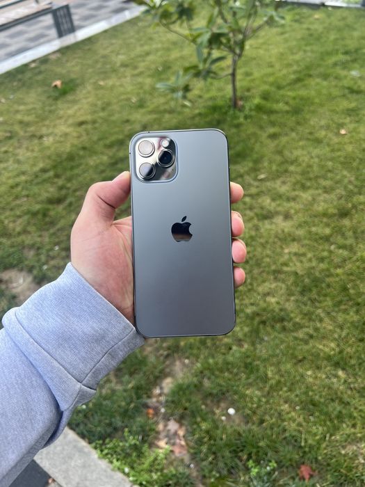 12 ProMax 256gb 84% ideal karobkali