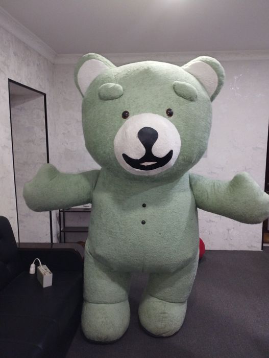 Ayiq animatorlar holati yaxshi