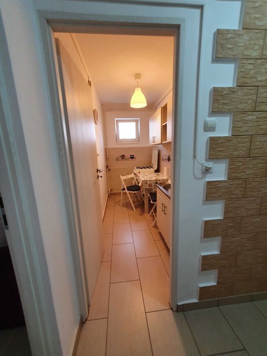 Vand Garsoniera Theodor Pallady