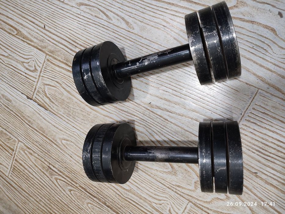 Гантели 2 штук  по 13,5 килограму